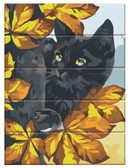 Картина по номерам Чорний кіт, 30 х 40 см (на дерев'яній основі)