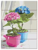 Картина по номерам Яскраві квіти, 30 х 40 см (на дерев'яній основі)