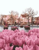 Картина по номерам Сезон тюльпанів, 40 х 50 см