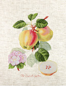 Набір для вишивання хрестиком Яблука 17,5 х 22.5 см ( канва Aida 18 ) часткова вишивка