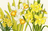 Набір для вишивання хрестиком Нарцис цвіте 36x24 см (часткова вишивка)