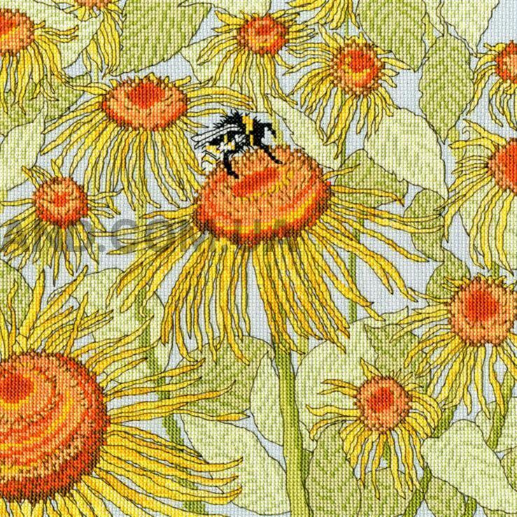  Sunflower Garden   25x25