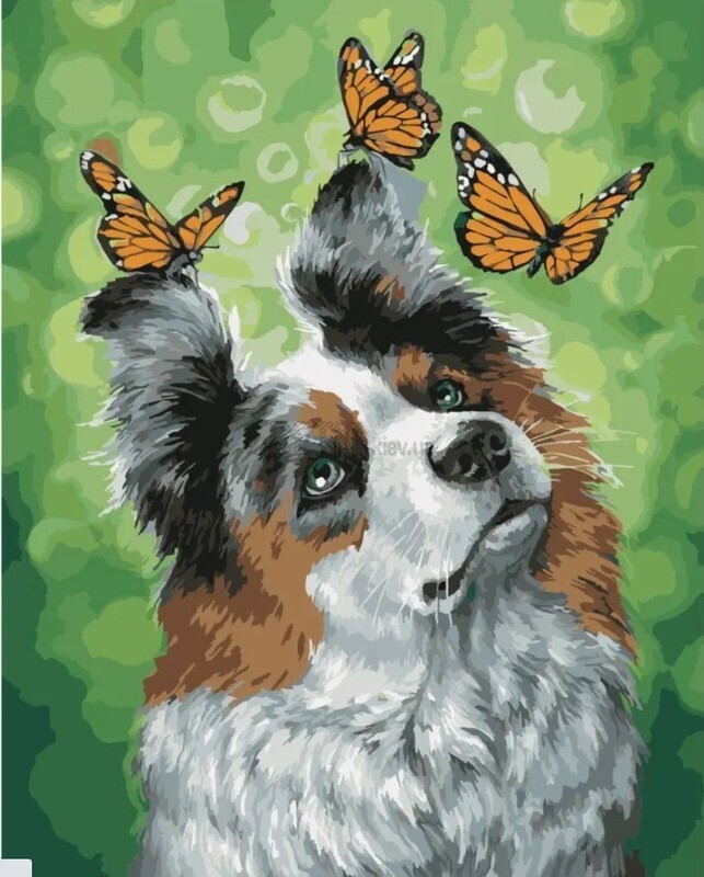 Картина по номерам Собака та метелики, 40 х 50 см