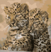 Картина по номерам Маленькі леопарди 40x40 см