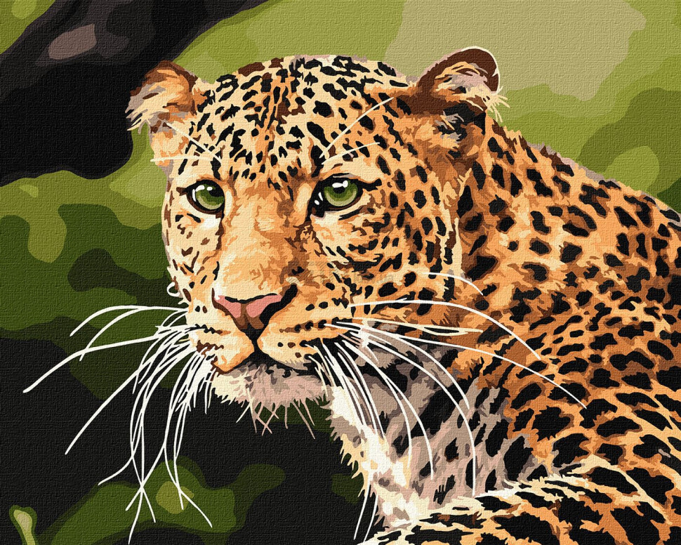 Картина по номерам Зеленоокий леопард 40х50 см