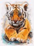 Картина по номерам Маленьке тигреня 30х40 см Ideyka ( Ідейка ) KHO4287