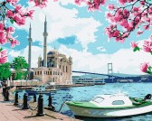 Картина по номерам Яскравий Стамбул, 40х50см
