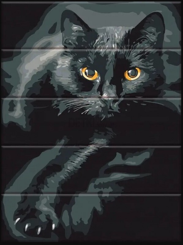 Картина по номерам Кіт у темряві  30 х 40 см   ( дерев'яна основа )