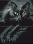Картина по номерам Кіт у темряві  30 х 40 см   ( дерев'яна основа ) ArtStory ( на дереві ) ASW180