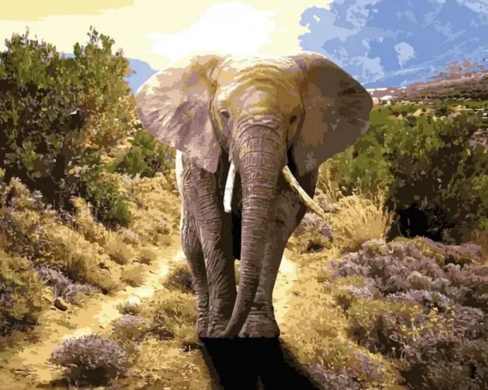 Картина по номерам Величний слон 40 х 50 см