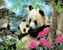 Картина по номерам Мама панда 40 х 50 см Babylon Turbo ( Бебілон ) VP1448