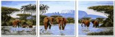 Картина-триптих по номерам Триптих. Слони на водопої ( 50х150 см ) Babylon Turbo ( Бебілон ) VPT053