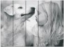 Картина по номерам Дівчинка з собакою 30х40 см (дерев'яна основа) ArtStory ( на дереві ) ASW215