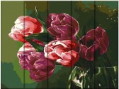 Картина по номерам Тюльпани 30х40 см (дерев'яна основа)