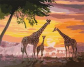 Картина по номерам Сім'я жирафів 40 х 50 см