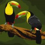 Картина по номерам Екзотичні птахи 40 х 40 см Ideyka ( Ідейка ) KHO4337