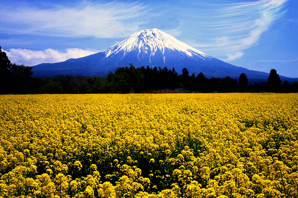 Алмазна вишивка Гора Фудзіяма 75х50 см, квадратне каміння, повна