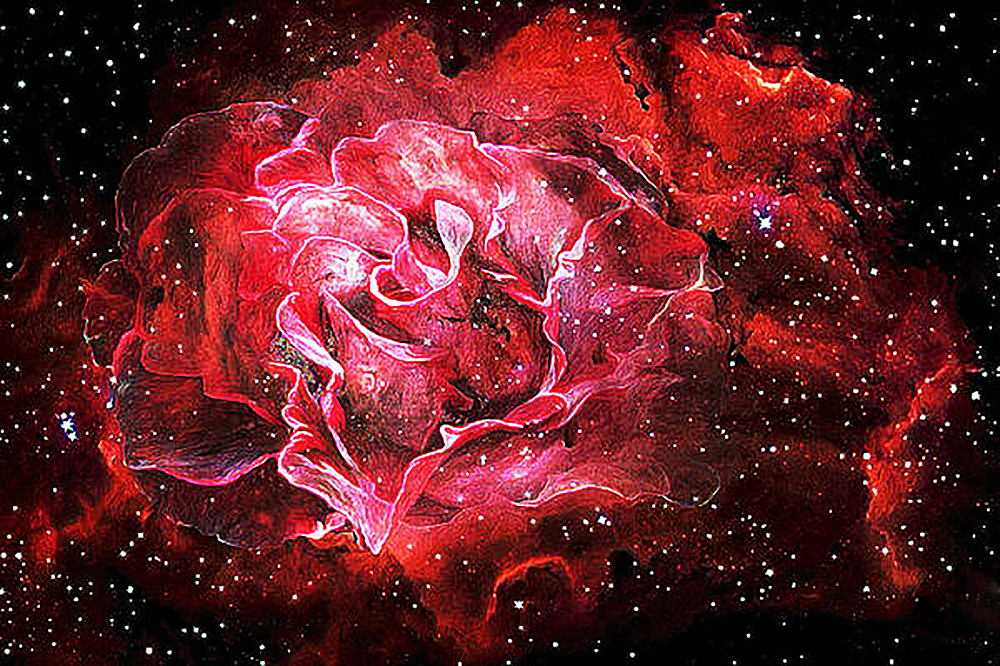 Алмазна вишивка Чарівна троянда (червона) 75х50 см, квадратне каміння, повна