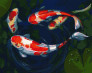 Картина по номерам Грайливі рибки 40 х 50 см Ideyka ( Ідейка ) KHO4488