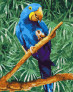 Картина по номерам Блакитне диво 40 х 50 см Ideyka ( Ідейка ) KHO4487