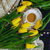 Картина по номерам Весняний сніданок 40 х 40 см Ideyka ( Ідейка ) KHO2997
