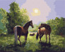 Картина по номерам Родина конячок 40 х 50 см Ideyka ( Ідейка ) KHO4497