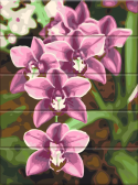 Картина по номерам Рожеві орхідеї 30 х 40 см (дерев'яна основа)