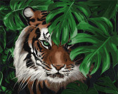 Картина по номерам Амурський тигр 40 х 50 см